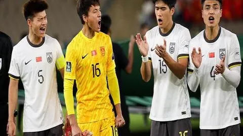 德媒报道：赫內斯高度评价薩內近期出色表现，力挺到底！